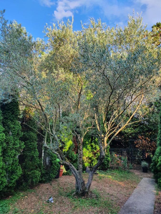 Cypress Garden Apartment Portoroz Bagian luar foto