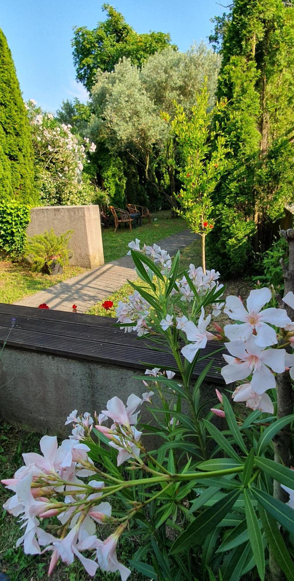 Cypress Garden Apartment Portoroz Bagian luar foto