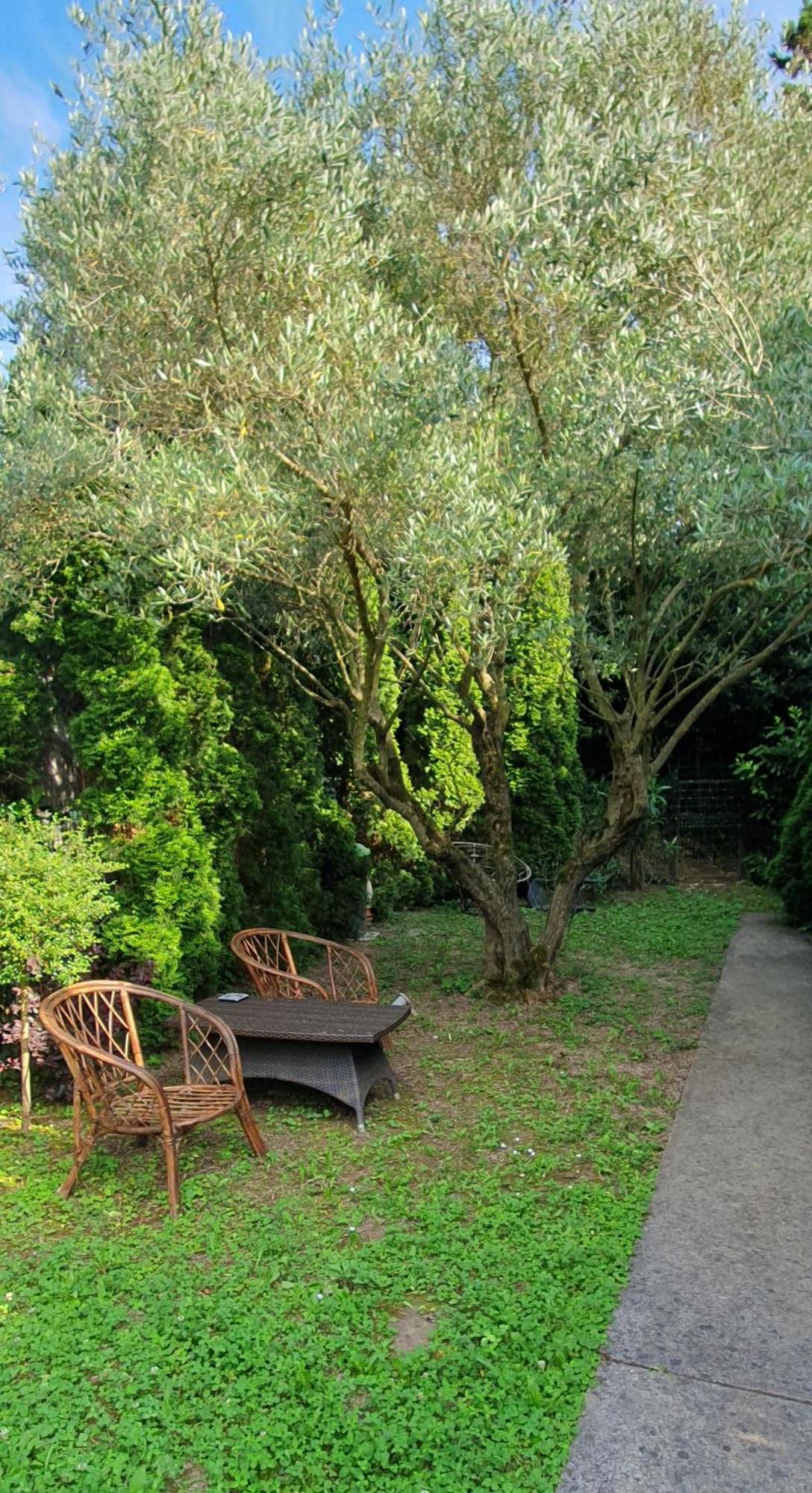 Cypress Garden Apartment Portoroz Bagian luar foto